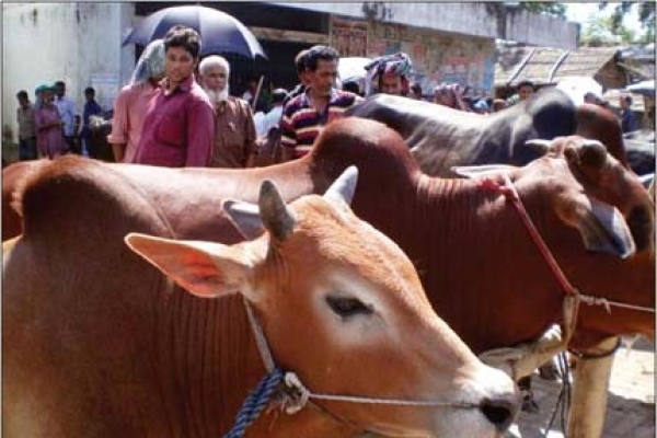 আতঙ্কে ব্যবসায়ীরা