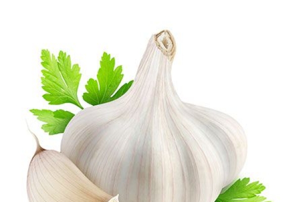 রসুনের উপকারী গুনাগুণ 