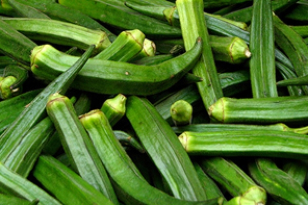 ঢেঁড়স নিয়ে যত কথা 
