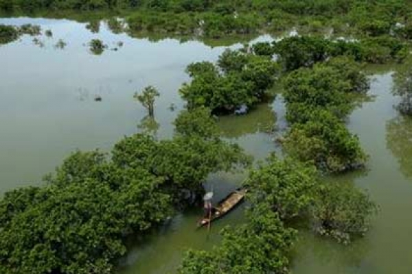বন্যপ্রাণীর অভয়ারণ্য ‘জলাবন’