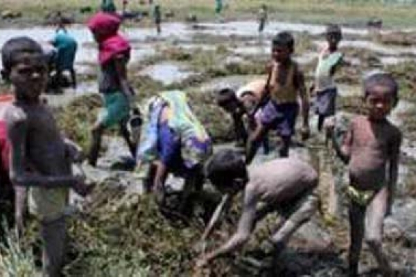 ইঁদুর খাওয়া মানুষ 