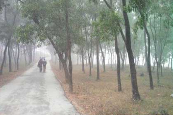 শীতকাল ভালো কাটানোর উপায়গুলো!