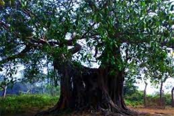  সত্য ও প্রমাণিত ভূতের পাঁচ কাহিনী