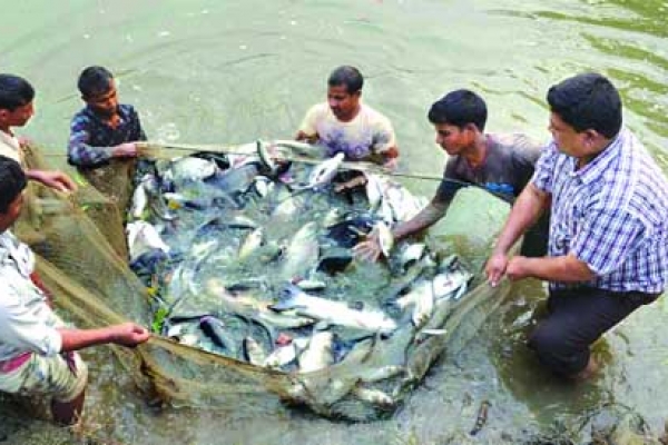 এবারও বিশ্বে পঞ্চম স্থানে বাংলাদেশ