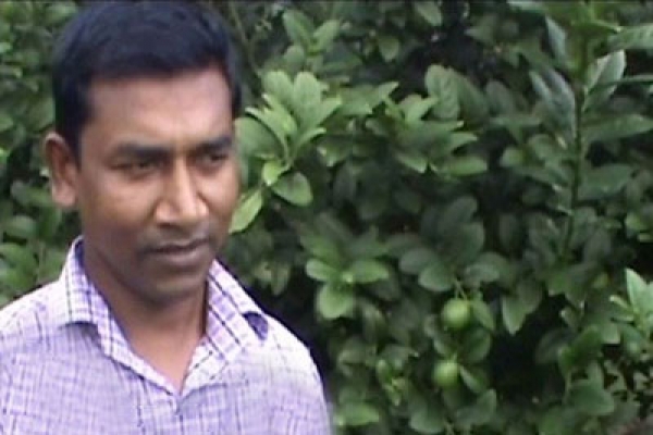 লেবু চাষ করে টোকাই থেকে কোটিপতি!