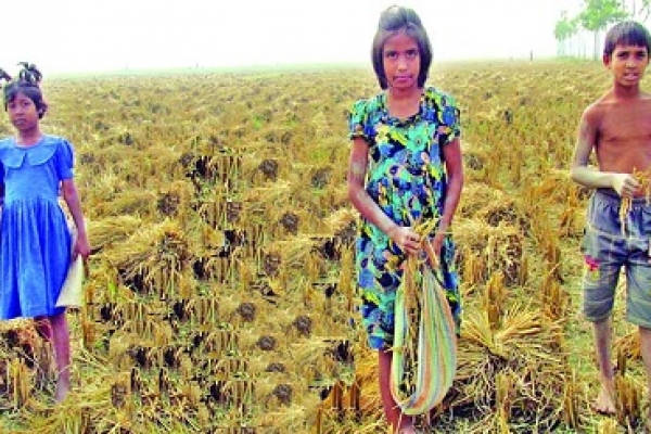 কুড়িয়ে শখ পূরণ