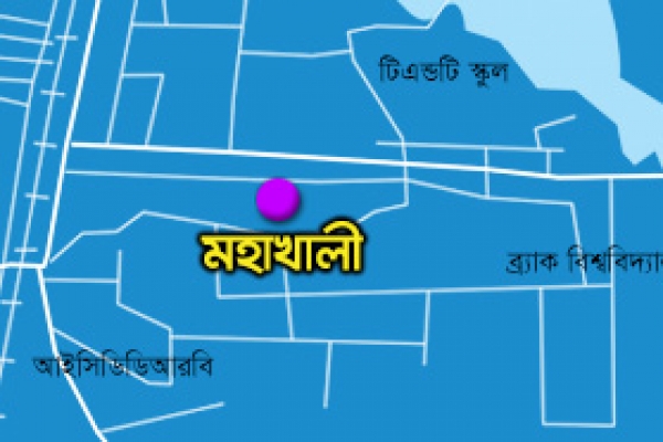 রাজধানীতে ডাকাতি, গুলিবিদ্ধ ২