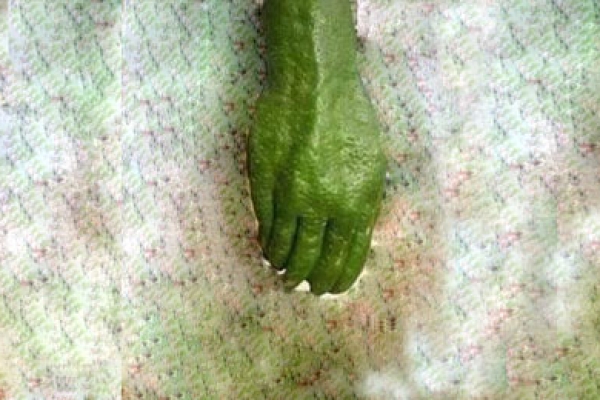 বলুন তো এটা কি?