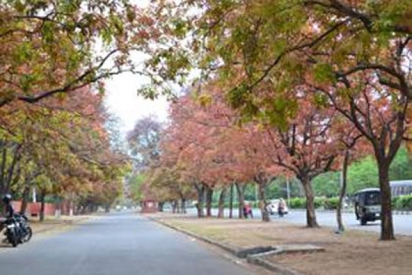 জানেন কি, বিশ্বের অন্যতম 'নিখুঁত শহর' কোথায়?
