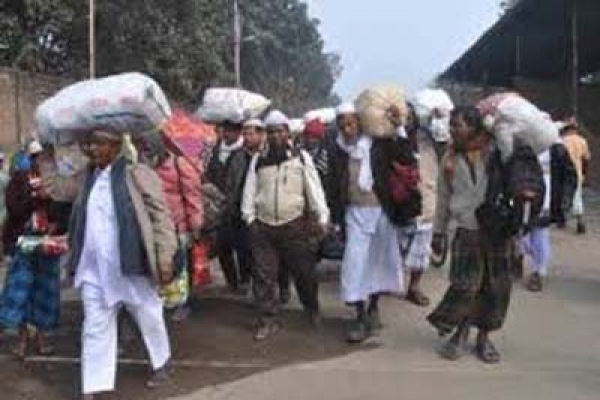 আলহামদুলিল্লাহ: ইজতেমায় শতাধিক রাষ্ট্রের মুসল্লির অংশগ্রহণ