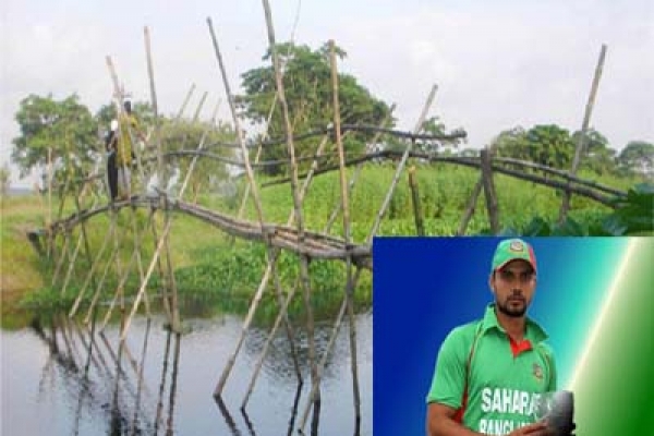 মানুষের দুঃখ কষ্ট লাঘবে বাঁশের সাঁকো বানিয়েছেন মাশরাফি