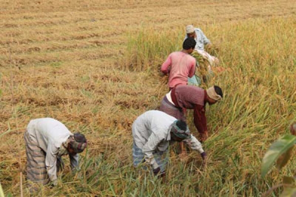 মানুষের মাথাপিছু আয় বেড়েছে