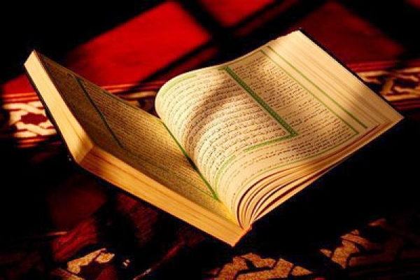 যে নবী পিঁপড়ার ভাষাও বুঝতেন