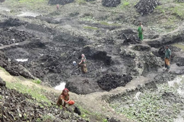 রান্নার কাজে জ্বালানির বিকল্প হিসেবে ব্যবহার হচ্ছে ‘কালো মাটি’