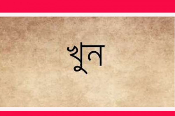 নৃশংস হত্যাকাণ্ড , ভাগ্নের হাতে ৩ মামা খুন