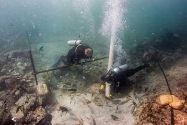 খোঁজ মিলেছে ডুবে যাওয়া ভাস্কো-দা-গামার জাহাজের!