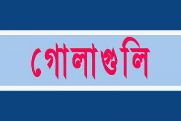 প্রিসাইডিং অফিসার ও পোলিং এজেন্টকে গুলি