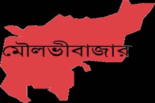 দেখলে ভয়ে দৌড় দেবেন, আস্ত হরিণ গিলে ফেলল অজগর!