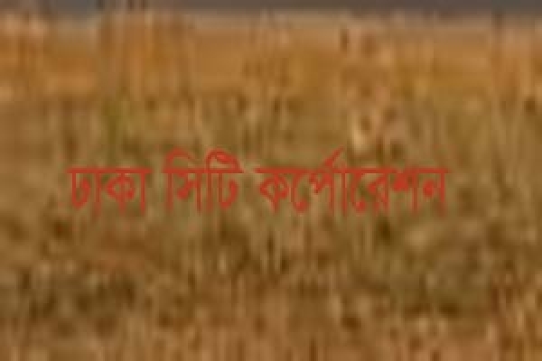 যেসব এলাকা নিয়ে দ্বিগুণ হচ্ছে ঢাকা সিটি কর্পোরেশনের আয়তন