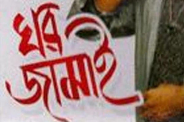আজকাল ঘরজামাই কারা থাকে, বুদ্ধিমানরা নাকি বোকারা?