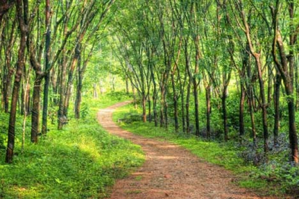 যে পথে দিন-দুপুরেও হানা দেয় ভূতেরা!