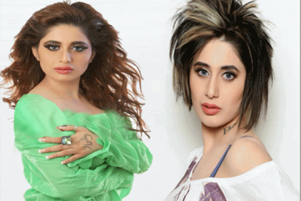 মুসলিম থেকে হিন্দু হয়ে বিয়ে করে একমাসের মধ্যেই স্বামীর বিরুদ্ধে অভিনেত্রীর মামলা
