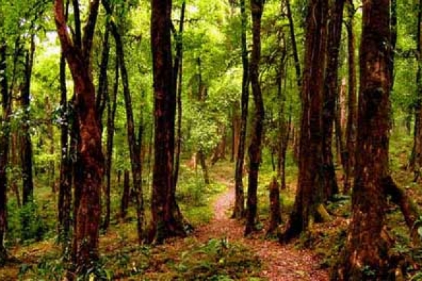 পাহাড়ের কোলে এক অনন্য শান্তির নিড়
