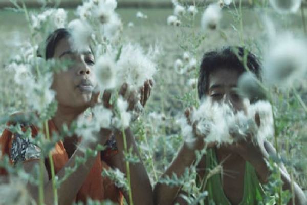 শিকাগোর উৎসবে বাংলা ছবি ‘মাটির প্রজার দেশে’