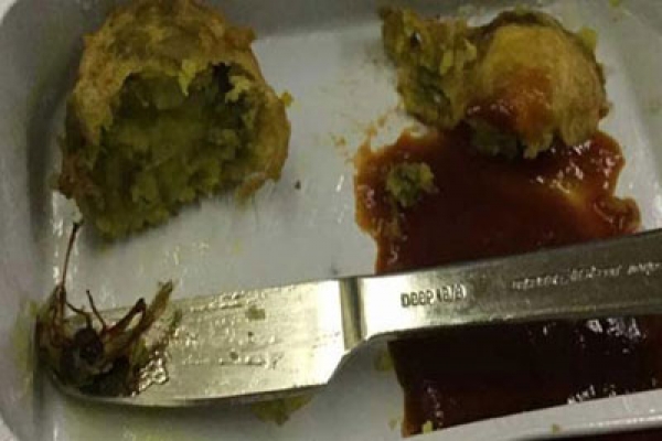 এয়ার ইন্ডিয়ার বিমানের খাবারে তেলাপোকা!