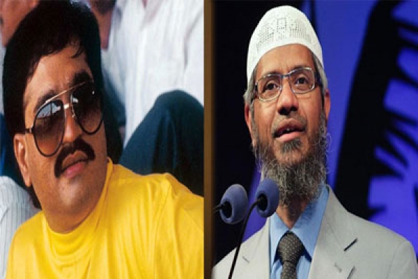 জাকির নায়েককে টাকা দিতেন দাউদ ইব্রাহিম, চাঞ্চল্যকর তথ্য ফাঁস 