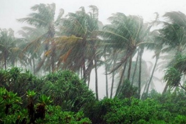 আজ বৃহস্পতিবার দমকা হাওয়াসহ বজ্রবৃষ্টি হতে পারে