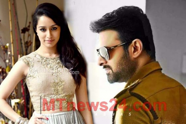 অনুষ্কা শেট্টি নয়, 'সাহো'তে প্রভাসের নায়িকা এই বলি সুন্দরী