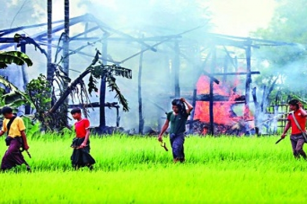 রোহিঙ্গা গণহত্যার বিশ্বাসযোগ্য প্রমাণ পায়নি যুক্তরাষ্ট্র