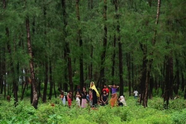 এবার রাখাইনে ইকোনোমিক জোন করছে মিয়ানমার