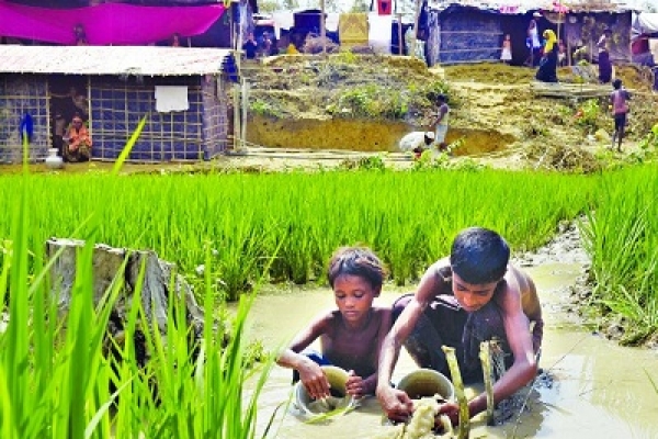  ভয়াবহ সঙ্কটে রোহিঙ্গারা