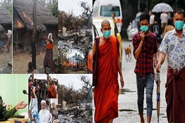রোহিঙ্গা নির্যাতনের মুখে মিয়ানমারে ব্যাপক ছড়িয়ে পড়েছে ‘সোয়াইন ফ্লু’, মারা যাচ্ছে একের পর এক