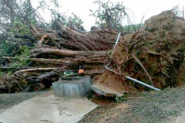ভারতে ঘূর্ণিঝড়ে নিহত ৮, নিখোঁজ ৯০
