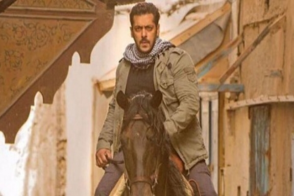 টাইগার জিন্দা হ্যায়: ঘোড়ার পিঠে সালমান আইএস জঙ্গিদের চেয়েও বেশি দুর্ধর্ষ!