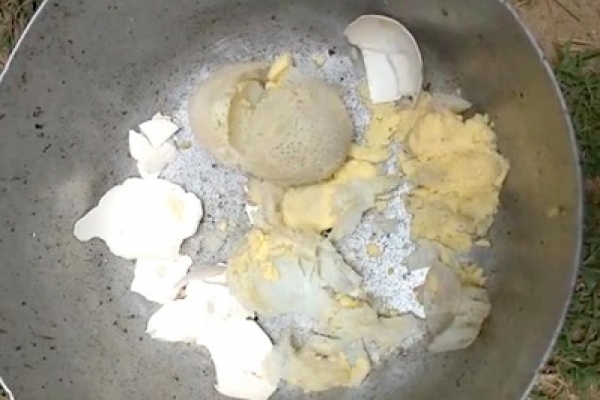 ‘প্লাস্টিক ডিম’ আতঙ্ক!