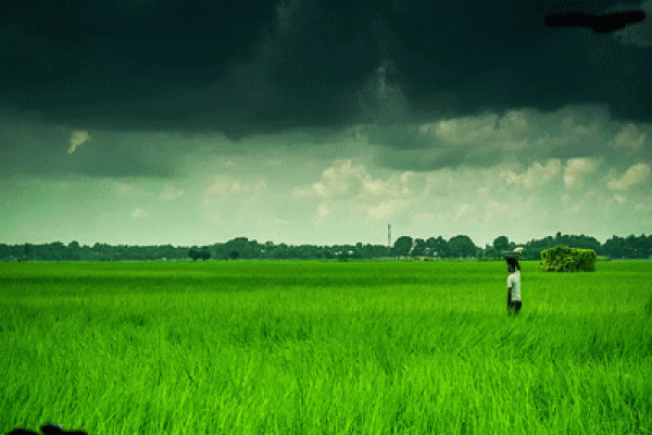 বাংলাদেশের শীর্ষ ধনী ও গরিব জেলার তালিকা প্রকাশ, এক নম্বরে কোন জেলা?