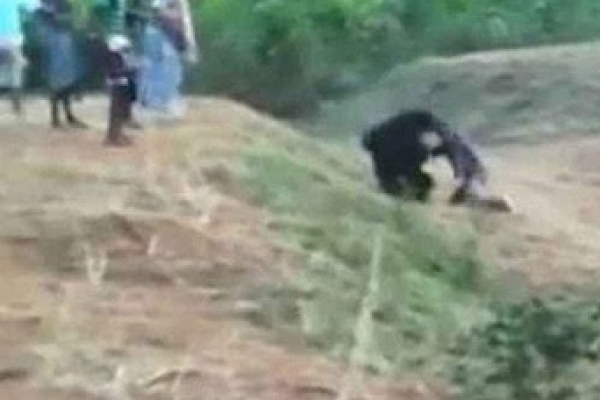 ভল্লুকের সঙ্গে সেলফি তুলতে গিয়ে প্রাণ খোয়ালেন যুবক