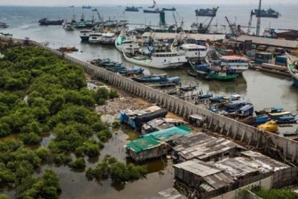 দ্রুত ডুবে যাবে ইন্দোনেশিয়ার রাজধানী জাকার্তা!