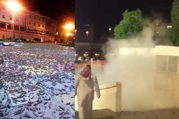 হঠাৎ পবিত্র কাবার ওপরে পালে পালে ঘাস ফড়িং 