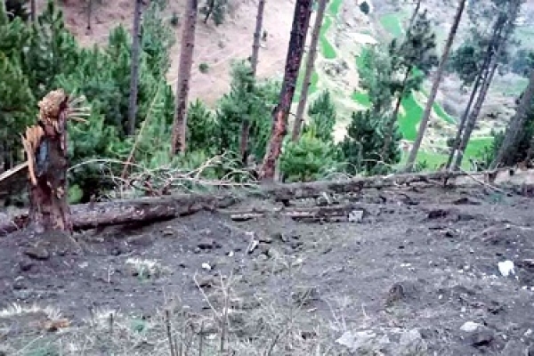 ভারতের অভিযানে মারা গেছে শুধু একটি কাক-স্থানীয়দের দাবি