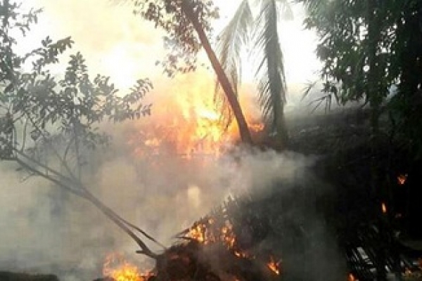 বাঁশ সংগ্রহ করার সময় হেলিকপ্টার থেকে গুলি করে হত্যা 