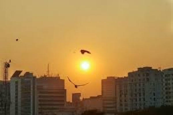 প্রচণ্ড গরম, রক্ষা পেতে সূর্যের বিরুদ্ধে মামলা!