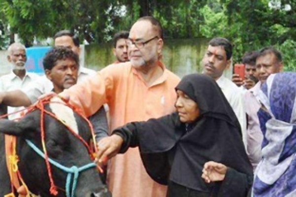 ভাইয়ের পরিবর্তে এবার গরুকে রাখি পরিয়ে দিলেন বিজেপি নেতা