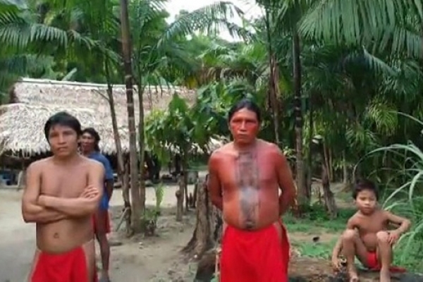 আমাজনে আতঙ্কে ১০ লাখ আদিবাসী, বিপদে ৩০ লাখ প্রজাতি!
