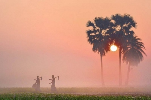 শীতকাল আল্লাহর অশেষ নিয়ামত