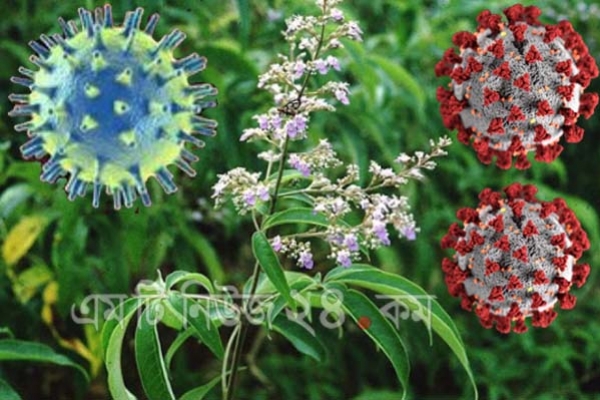 দুই ঘণ্টার বেশি বাতাসে ভেসে থাকতে পারে করোনা: গবেষণা